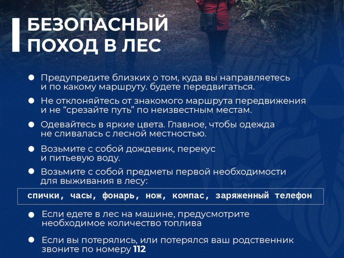 Безопасный поход в лес.